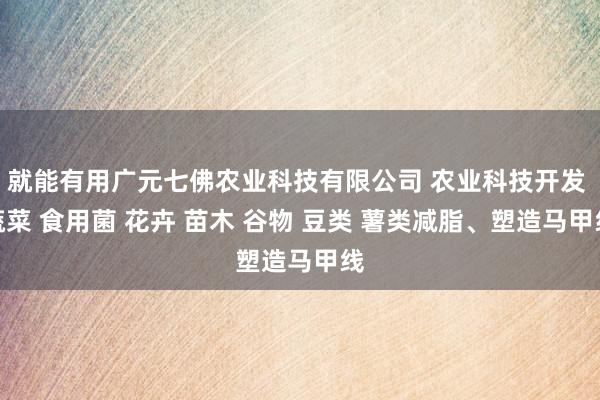 就能有用广元七佛农业科技有限公司 农业科技开发 蔬菜 食用菌 花卉 苗木 谷物 豆类 薯类减脂、塑造马甲线